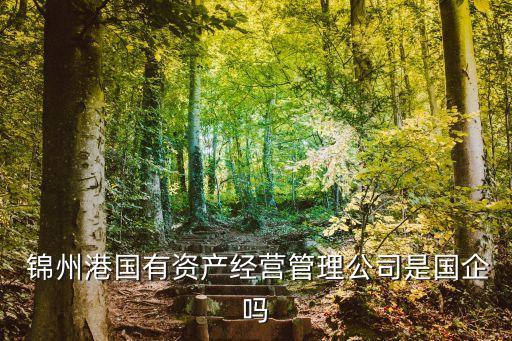  錦州港國有資產經(jīng)營管理公司是國企嗎