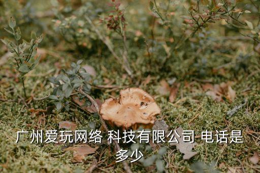 廣州愛玩網(wǎng)絡 科技有限公司 電話是多少