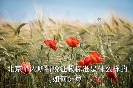 2010年北京個稅起征點(diǎn)