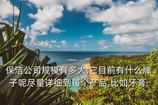 保潔公司規(guī)模有多大,它目前有什么牌子呢盡量詳細到每個產(chǎn)品,比如牙膏...