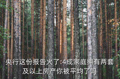 央行這份報告火了:4成家庭擁有兩套及以上房產(chǎn)你被平均了嗎