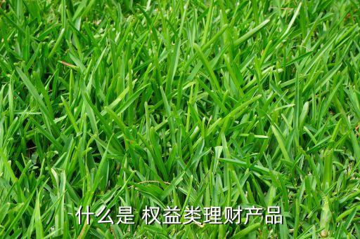 什么是 權益類理財產品