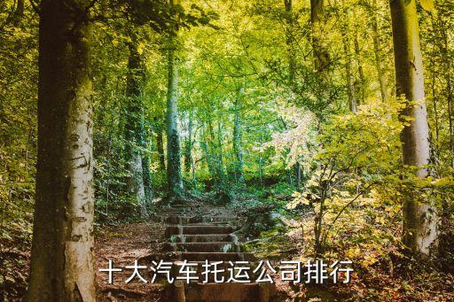 十大汽車(chē)托運(yùn)公司排行