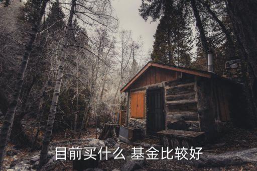 目前買(mǎi)什么 基金比較好