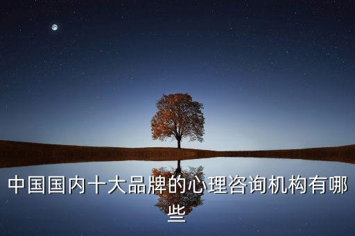 中國國內(nèi)十大品牌的心理咨詢機構(gòu)有哪些