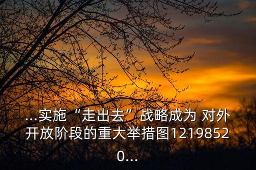 ...實(shí)施“走出去”戰(zhàn)略成為 對(duì)外開放階段的重大舉措圖12198520...