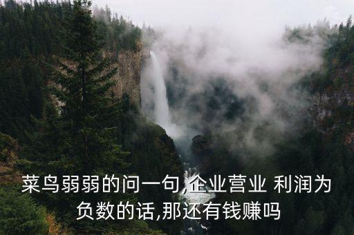 菜鳥弱弱的問一句,企業(yè)營業(yè) 利潤(rùn)為 負(fù)數(shù)的話,那還有錢賺嗎