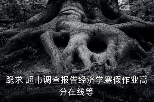跪求 超市調(diào)查報(bào)告經(jīng)濟(jì)學(xué)寒假作業(yè)高分在線等