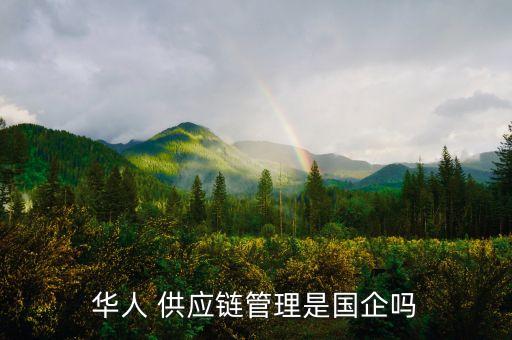華人 供應(yīng)鏈管理是國(guó)企嗎