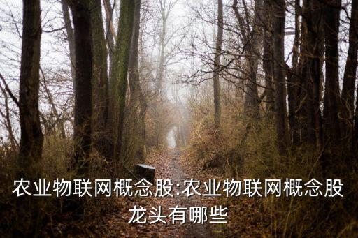 600100股票行情查詢(xún)