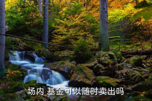 場內(nèi) 基金可以隨時(shí)賣出嗎