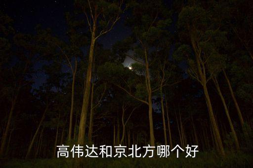  高偉達和京北方哪個好