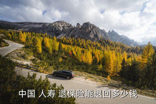 中國(guó)人壽養(yǎng)老保險(xiǎn)退保