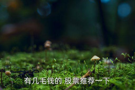 有幾毛錢(qián)的 股票推薦一下