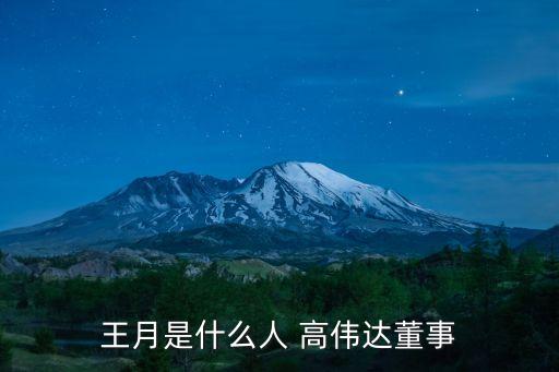 王月是什么人 高偉達董事