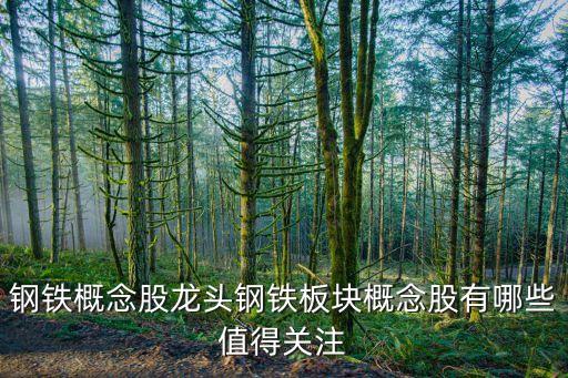 鋼鐵概念股龍頭鋼鐵板塊概念股有哪些值得關注