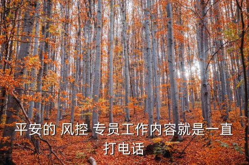 平安的 風控 專員工作內(nèi)容就是一直打電話