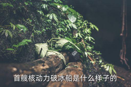 中國核電和上海電氣,上海電氣核電設備有限公司待遇