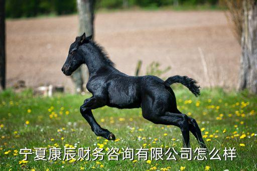 寧夏康辰財務(wù)咨詢有限公司怎么樣