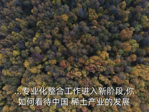 ...專業(yè)化整合工作進(jìn)入新階段,你如何看待中國 稀土產(chǎn)業(yè)的發(fā)展