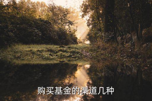購買基金的渠道幾種