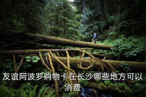 友誼阿波羅購物卡在長沙哪些地方可以消費(fèi)
