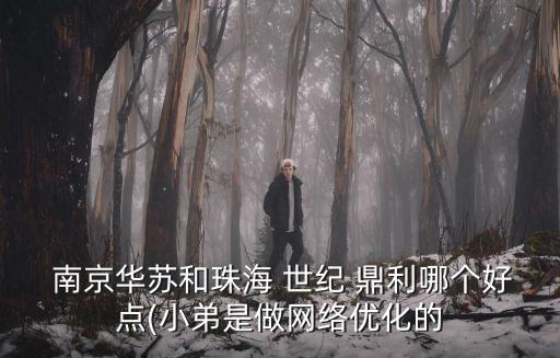  南京華蘇和珠海 世紀(jì) 鼎利哪個好點(diǎn)(小弟是做網(wǎng)絡(luò)優(yōu)化的