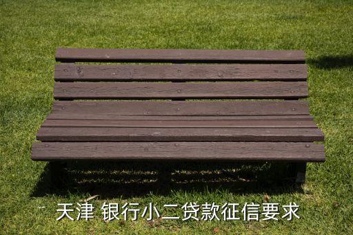  天津 銀行小二貸款征信要求