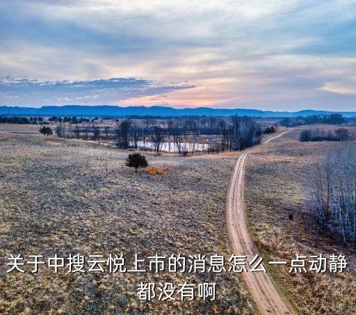 關(guān)于中搜云悅上市的消息怎么一點(diǎn)動靜都沒有啊