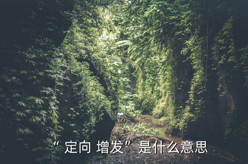 投資定向增發(fā)機構,定向增發(fā)虧損了,機構怎么處理