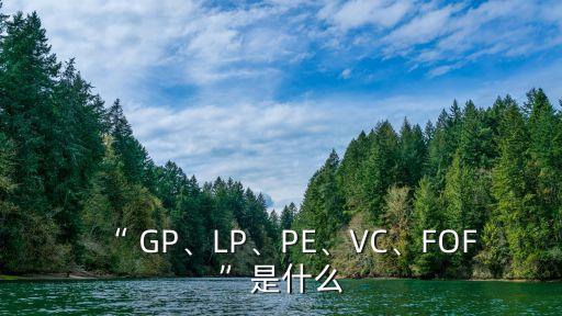私募基金行業(yè)里的GP,對(duì)私募基金行業(yè)的理解