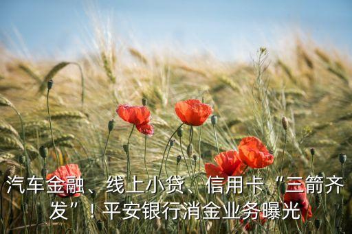 平安集團組織架構,平安保險公司組織架構
