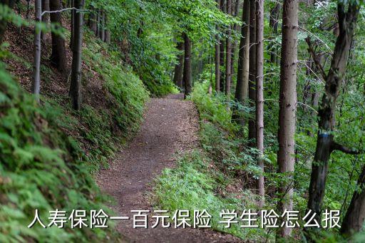  人壽保險一百元保險 學生險怎么報