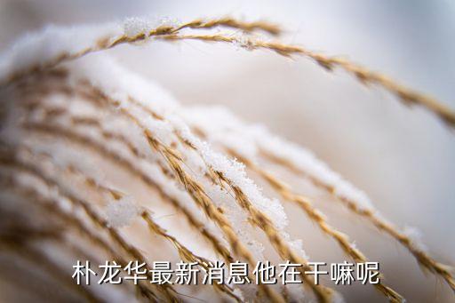 大慶華奕潤(rùn)航經(jīng)貿(mào)有限公司