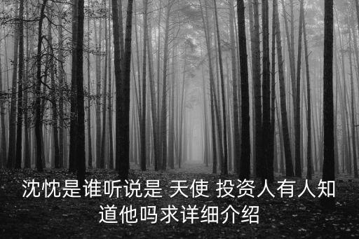 沈忱是誰(shuí)聽(tīng)說(shuō)是 天使 投資人有人知道他嗎求詳細(xì)介紹