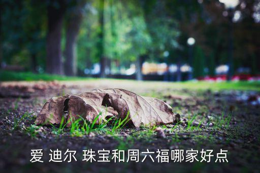 愛(ài) 迪爾 珠寶和周六福哪家好點(diǎn)