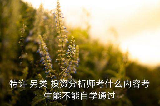 特許 另類 投資分析師考什么內(nèi)容考生能不能自學(xué)通過(guò)