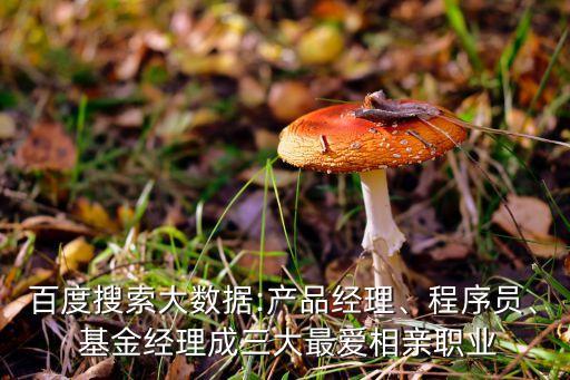百度搜索大數(shù)據(jù):產(chǎn)品經(jīng)理、程序員、 基金經(jīng)理成三大最愛相親職業(yè)