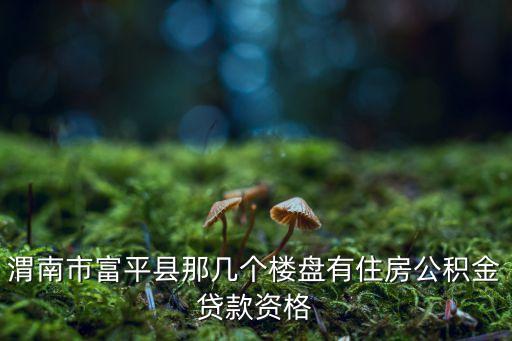 渭南市富平縣那幾個(gè)樓盤(pán)有住房公積金貸款資格