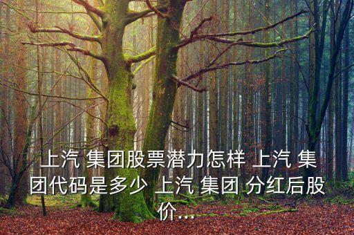  上汽 集團(tuán)股票潛力怎樣 上汽 集團(tuán)代碼是多少 上汽 集團(tuán) 分紅后股價...