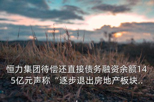 恒力集團(tuán)待償還直接債務(wù)融資余額145億元聲稱(chēng)“逐步退出房地產(chǎn)板塊...