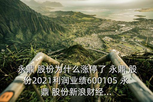  永鼎 股份為什么漲停了 永鼎 股份2021利潤業(yè)績600105 永鼎 股份新浪財(cái)經(jīng)...