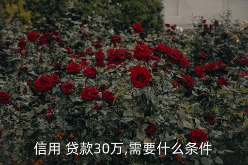 信用 貸款30萬(wàn),需要什么條件