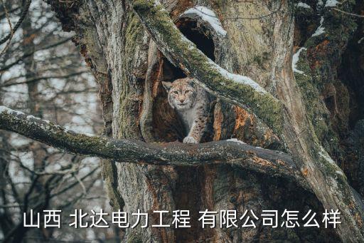 山西 北達(dá)電力工程 有限公司怎么樣