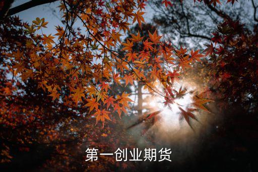 創(chuàng)元資產(chǎn)管理有限公司,蘇州創(chuàng)元資產(chǎn)開(kāi)發(fā)經(jīng)營(yíng)有限公司陳斌