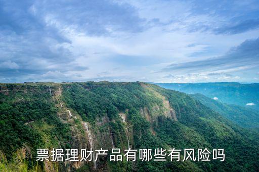  票據(jù)理財產(chǎn)品有哪些有風(fēng)險嗎