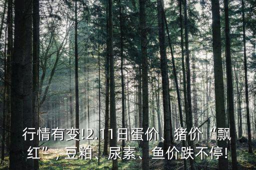 行情有變!2.11日蛋價、豬價“飄紅”, 豆粕、尿素、魚價跌不停!