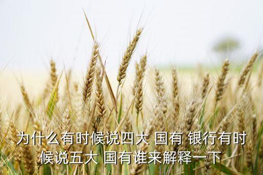 四大國(guó)有銀行還是五大,五大國(guó)有銀行調(diào)整存款利率