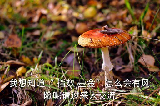 我想知道“ 指數(shù) 基金”怎么會(huì)有風(fēng)險(xiǎn)呢請(qǐng)過(guò)來(lái)人交流