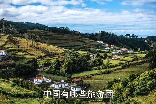 中國有哪些旅游團(tuán)